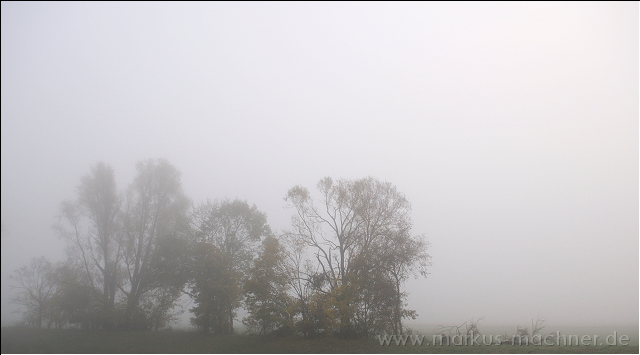 nebel3.jpg