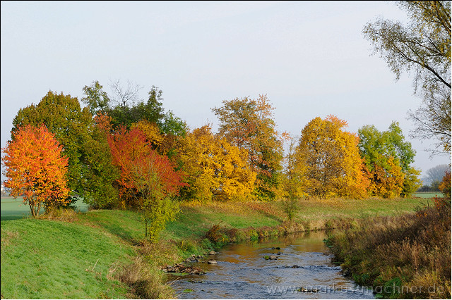 herbst4.jpg