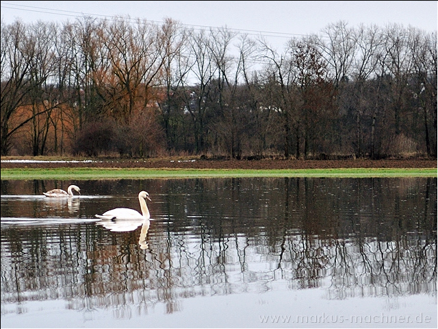 hochwasser2.jpg