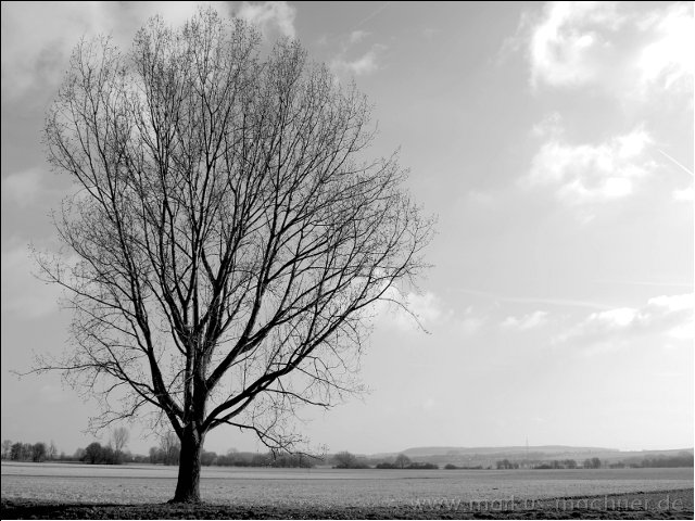 landschaft2.jpg