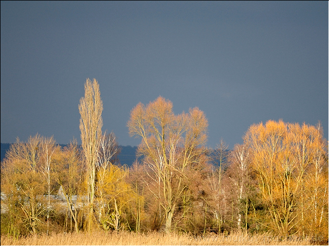 landschaft3.jpg