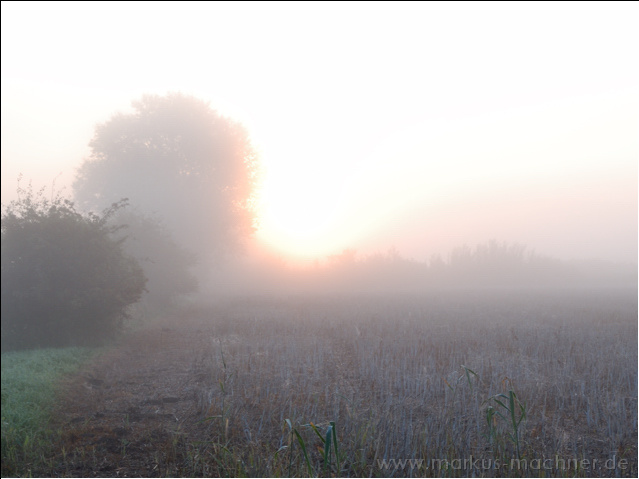 monf_sonnenaufgang.jpg