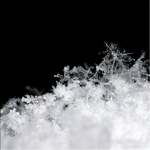 schnee1.jpg