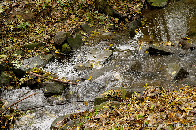 wasser1.jpg