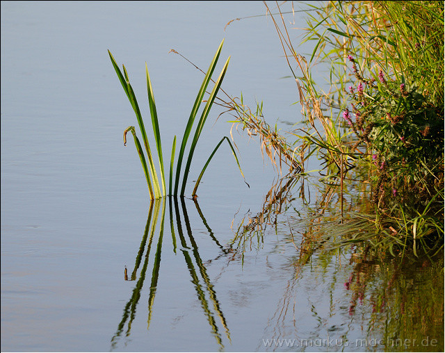 wasser2.jpg