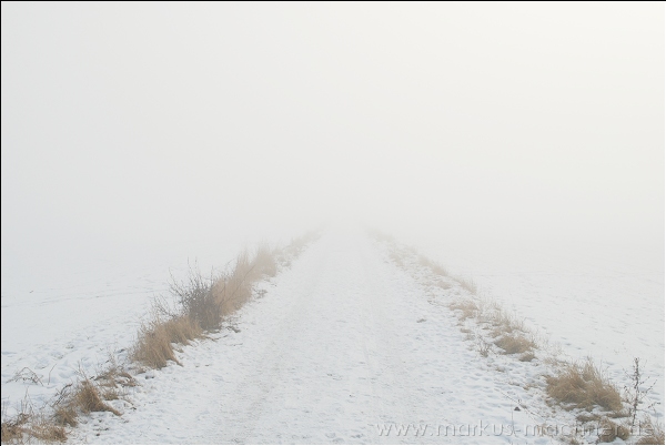 winter.jpg